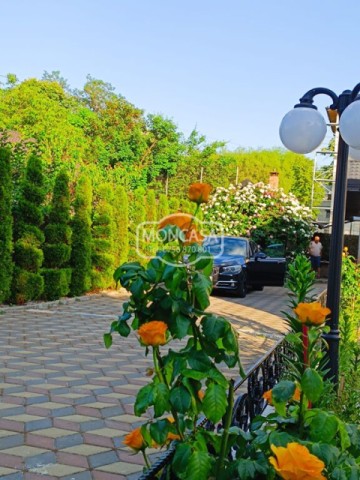 casa-la-sol-zona-bulevard-amenajata-complet-in-2018-teren-600-mp-8