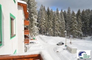 predealgarsoniara-cu-vedere-la-munte-1