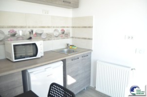 vila-de-vanzare-deosebita-situata-in-busteni-14