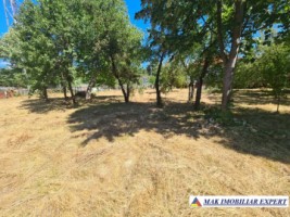 teren-intravilan-3860-mp-de-vanzare-in-daesti-valcea-ideal-pentru-dezvoltare-rezidentiala-3