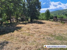teren-intravilan-3860-mp-de-vanzare-in-daesti-valcea-ideal-pentru-dezvoltare-rezidentiala-2