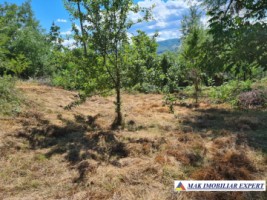teren-intravilan-3860-mp-de-vanzare-in-daesti-valcea-ideal-pentru-dezvoltare-rezidentiala-7