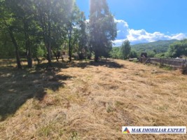teren-intravilan-3860-mp-de-vanzare-in-daesti-valcea-ideal-pentru-dezvoltare-rezidentiala-4