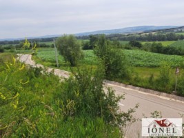 teren-intravilan-7200-mp-in-vintu-de-jos-5
