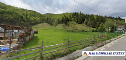 teren-intravilan-5080-mp-de-vanzare-rucar-satic-arges