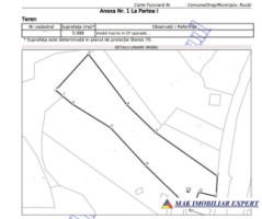 teren-intravilan-5080-mp-de-vanzare-rucar-satic-arges-4