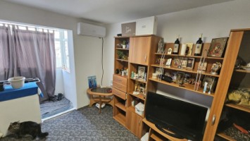 vest-z-er-grigorescu-3cam-cf2adec24-55000euro-6