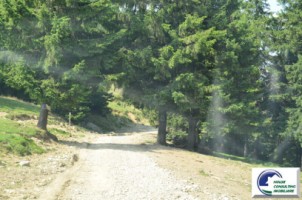 vila-de-vacanta-predeal-22