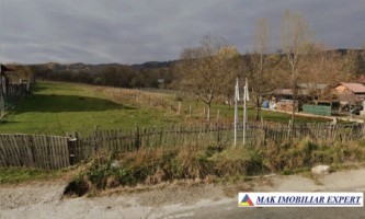 vand-teren-7400-mp-intra-extravilan-aninoasa-arges-6
