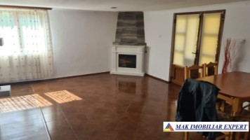 vila-spatioasa-cu-4-camere-de-vanzare-si-teren-de-5000-mp-in-stoenesti-arges-1