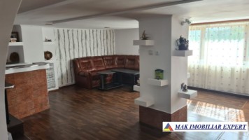 vila-spatioasa-cu-4-camere-de-vanzare-si-teren-de-5000-mp-in-stoenesti-arges-9