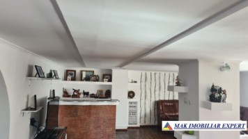 vila-spatioasa-cu-4-camere-de-vanzare-si-teren-de-5000-mp-in-stoenesti-arges-12