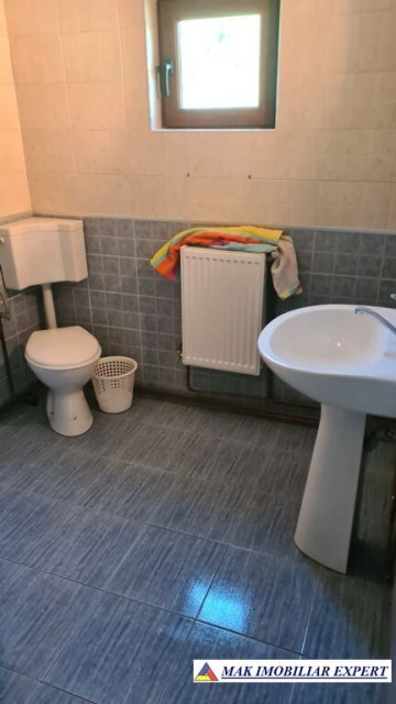 vila-spatioasa-cu-4-camere-de-vanzare-si-teren-de-5000-mp-in-stoenesti-arges-26