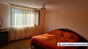 vila-spatioasa-cu-4-camere-de-vanzare-si-teren-de-5000-mp-in-stoenesti-arges-19