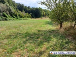 casa-3-camere-teren-6731-mp-de-vanzare-in-titesti-arges-14