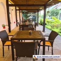 vand-vila-monument-istoric-unitatile-horeca-p-e-m-9-camere-teren-1200-mp-central-campulung-muscel-arges-49