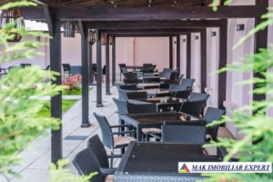 vand-vila-monument-istoric-unitatile-horeca-p-e-m-9-camere-teren-1200-mp-central-campulung-muscel-arges-48