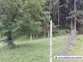 vand-cabana-la-munte-vila-3-camere-teren-1000-mp-valea-badenilor-stoenesti-arges-2