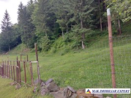 vand-cabana-la-munte-vila-3-camere-teren-1000-mp-valea-badenilor-stoenesti-arges-3