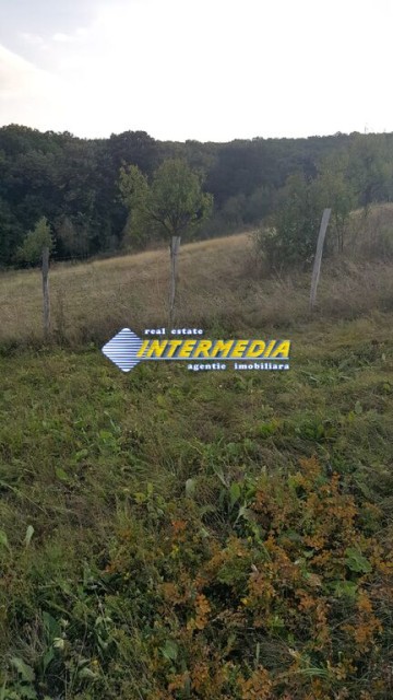 teren-intravilan-700-mp-zona-schit-vii-2