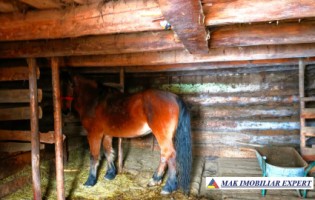 vand-casa-2-camere-bucatarie-de-vara-anexe-teren-9511-mp-intravilan-in-muntii-apuseni-belisfantanele-jud-cluj-21
