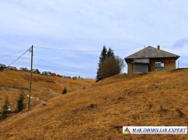 vand-casa-2-camere-bucatarie-de-vara-anexe-teren-9511-mp-intravilan-in-muntii-apuseni-belisfantanele-jud-cluj-12