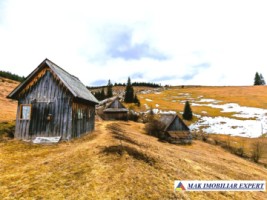 vand-casa-2-camere-bucatarie-de-vara-anexe-teren-9511-mp-intravilan-in-muntii-apuseni-belisfantanele-jud-cluj-14