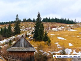 vand-casa-2-camere-bucatarie-de-vara-anexe-teren-9511-mp-intravilan-in-muntii-apuseni-belisfantanele-jud-cluj-22