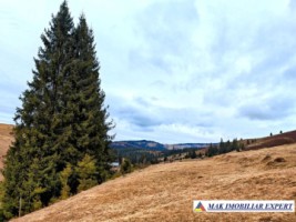 vand-casa-2-camere-bucatarie-de-vara-anexe-teren-9511-mp-intravilan-in-muntii-apuseni-belisfantanele-jud-cluj-27