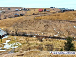 vand-casa-2-camere-bucatarie-de-vara-anexe-teren-9511-mp-intravilan-in-muntii-apuseni-belisfantanele-jud-cluj-28