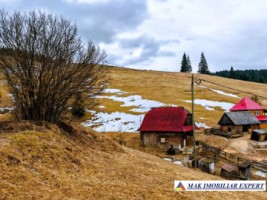 vand-casa-2-camere-bucatarie-de-vara-anexe-teren-9511-mp-intravilan-in-muntii-apuseni-belisfantanele-jud-cluj-16