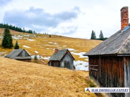 vand-casa-2-camere-bucatarie-de-vara-anexe-teren-9511-mp-intravilan-in-muntii-apuseni-belisfantanele-jud-cluj-11