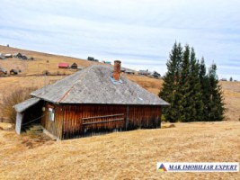 vand-casa-2-camere-bucatarie-de-vara-anexe-teren-9511-mp-intravilan-in-muntii-apuseni-belisfantanele-jud-cluj-5