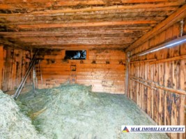 vand-casa-2-camere-bucatarie-de-vara-anexe-teren-9511-mp-intravilan-in-muntii-apuseni-belisfantanele-jud-cluj-18