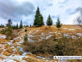 vand-casa-2-camere-bucatarie-de-vara-anexe-teren-9511-mp-intravilan-in-muntii-apuseni-belisfantanele-jud-cluj-29