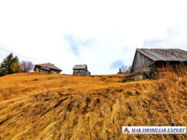 vand-casa-2-camere-bucatarie-de-vara-anexe-teren-9511-mp-intravilan-in-muntii-apuseni-belisfantanele-jud-cluj-24