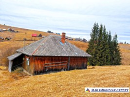 vand-casa-2-camere-bucatarie-de-vara-anexe-teren-9511-mp-intravilan-in-muntii-apuseni-belisfantanele-jud-cluj-4