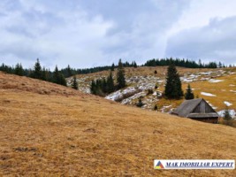 vand-casa-2-camere-bucatarie-de-vara-anexe-teren-9511-mp-intravilan-in-muntii-apuseni-belisfantanele-jud-cluj-30