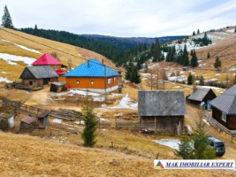 vand-casa-2-camere-bucatarie-de-vara-anexe-teren-9511-mp-intravilan-in-muntii-apuseni-belisfantanele-jud-cluj-15