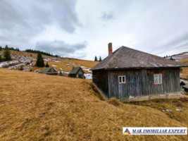 vand-casa-2-camere-bucatarie-de-vara-anexe-teren-9511-mp-intravilan-in-muntii-apuseni-belisfantanele-jud-cluj-8