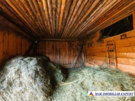 vand-casa-2-camere-bucatarie-de-vara-anexe-teren-9511-mp-intravilan-in-muntii-apuseni-belisfantanele-jud-cluj-20