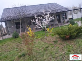 casa-in-doba-cu-teren-29-arii-3