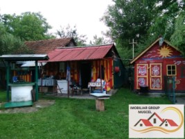 casa-spe-cu-trei-camerebaiebucatariegaraj-si-dependinte-in-comuna-vladesti-arges-si-suprafata-de-2851-mp-intravilan-si-suprafata-de-2291-livada-cu-pomipret-140000euro-6