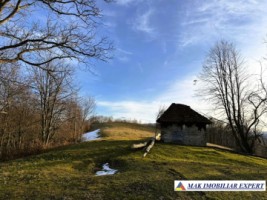 vand-teren-22-ha-intravilan-negreni-cluj-3