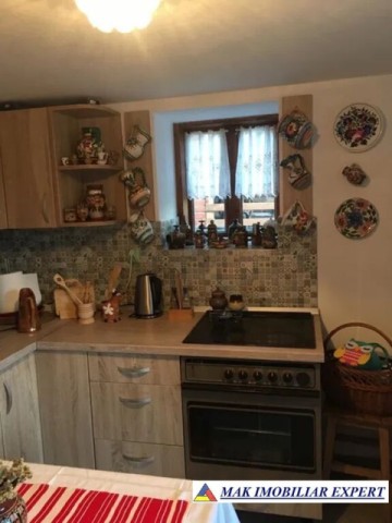 vand-casa-musceleana-3-canere-tren-1300-mp-in-bughea-de-jos-arges-5
