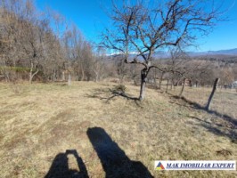 vand-casa-de-vacanta-cu-2-camere-si-teren-de-1700-mp-in-bughea-de-jos-arges-16