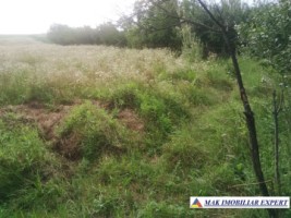 teren-intravilan-7050-mp-de-vanzare-pasaj-smei-albota-pitesti-brosteni-arges-2