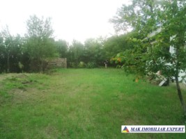 teren-intravilan-7050-mp-de-vanzare-pasaj-smei-albota-pitesti-brosteni-arges