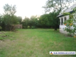 teren-intravilan-7050-mp-de-vanzare-pasaj-smei-albota-pitesti-brosteni-arges-1
