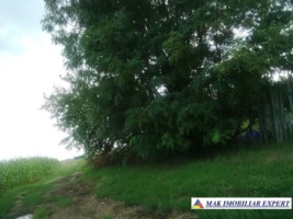 teren-intravilan-7050-mp-de-vanzare-pasaj-smei-albota-pitesti-brosteni-arges-5